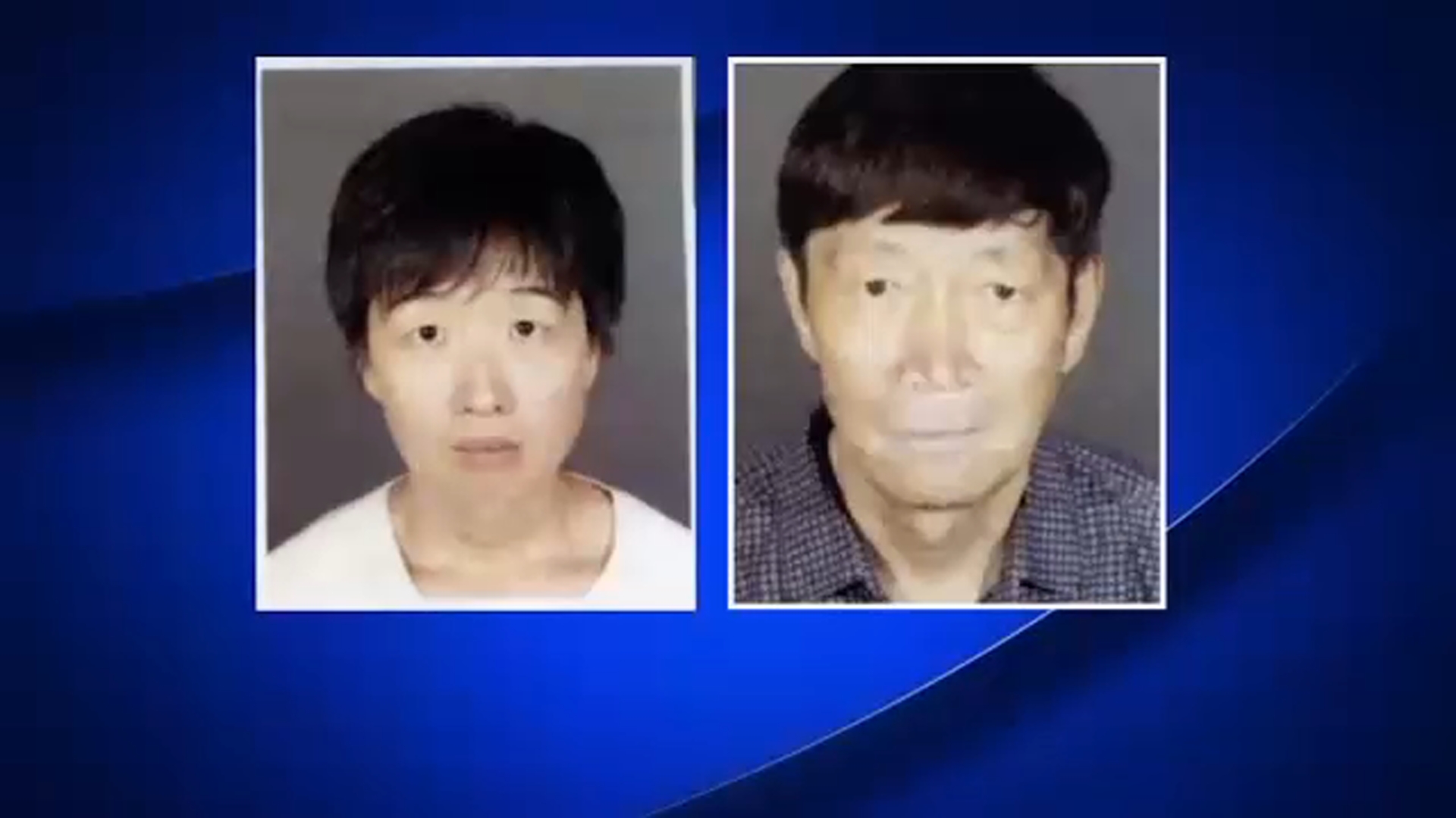 Update: Arcadia Surrogacy Case — Couple Arrested on Child Abuse Charges